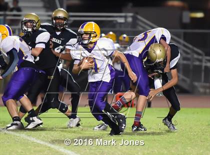 Thumbnail 2 in Mesa @ Basha photogallery.