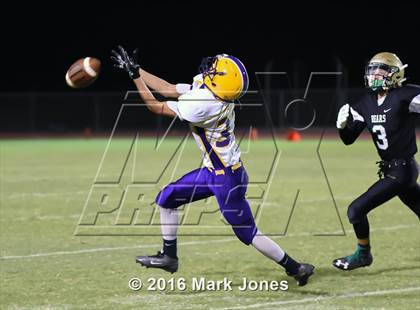 Thumbnail 1 in Mesa @ Basha photogallery.