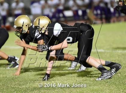 Thumbnail 1 in Mesa @ Basha photogallery.