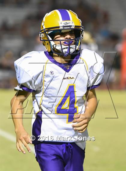 Thumbnail 2 in Mesa @ Basha photogallery.