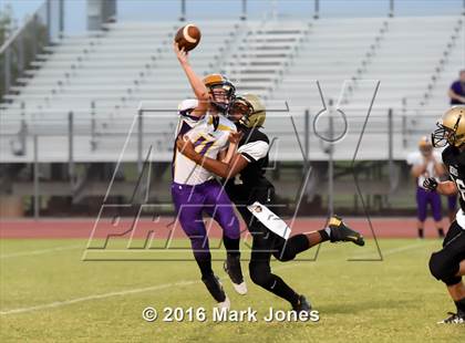 Thumbnail 1 in Mesa @ Basha photogallery.