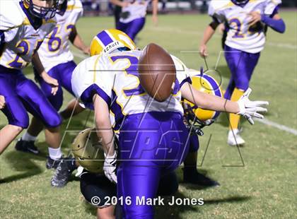 Thumbnail 1 in Mesa @ Basha photogallery.