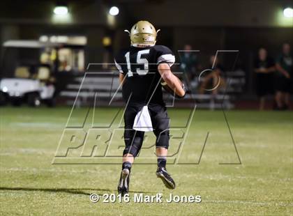 Thumbnail 1 in Mesa @ Basha photogallery.