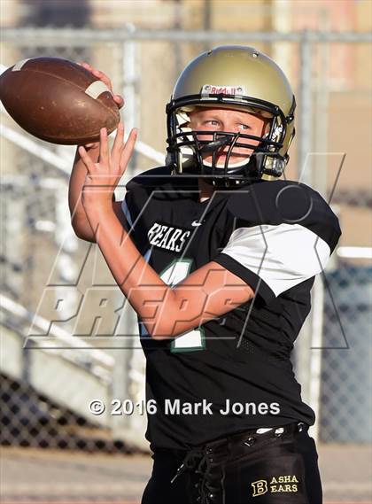 Thumbnail 3 in Mesa @ Basha photogallery.