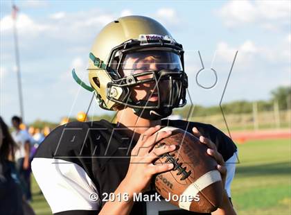 Thumbnail 2 in Mesa @ Basha photogallery.
