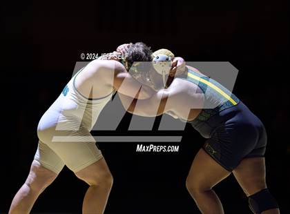 Thumbnail 3 in VHSL Region 5A Wrestling Finals photogallery.