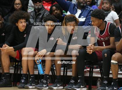 Thumbnail 1 in Pine Bluff vs. Gonzaga (King Cotton Classic) photogallery.