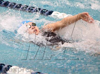 Thumbnail 2 in CHSAA 4A State Swimming Championships photogallery.