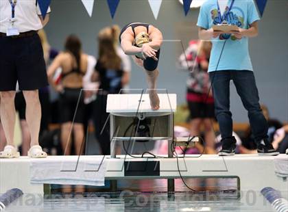 Thumbnail 1 in CHSAA 4A State Swimming Championships photogallery.