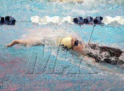 Thumbnail 3 in CHSAA 4A State Swimming Championships photogallery.