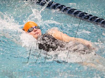 Thumbnail 3 in CHSAA 4A State Swimming Championships photogallery.