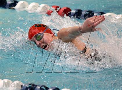 Thumbnail 1 in CHSAA 4A State Swimming Championships photogallery.