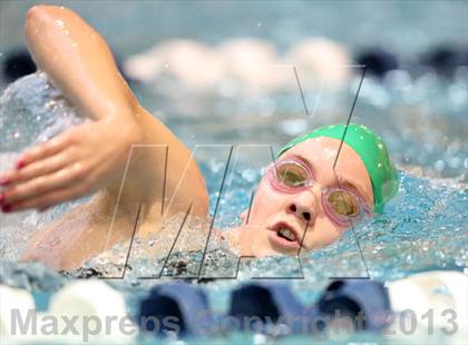 Thumbnail 1 in CHSAA 4A State Swimming Championships photogallery.