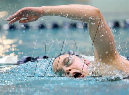 Thumbnail 3 in CHSAA 4A State Swimming Championships photogallery.