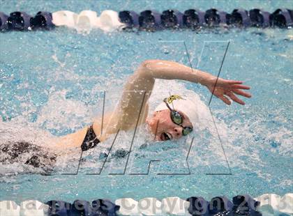 Thumbnail 1 in CHSAA 4A State Swimming Championships photogallery.