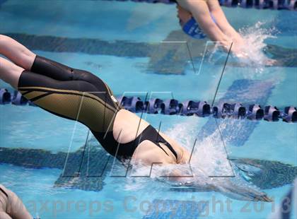 Thumbnail 3 in CHSAA 4A State Swimming Championships photogallery.