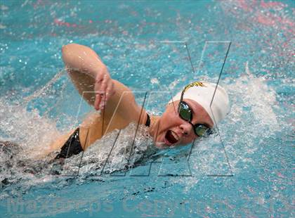 Thumbnail 1 in CHSAA 4A State Swimming Championships photogallery.