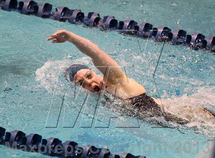 Thumbnail 2 in CHSAA 4A State Swimming Championships photogallery.