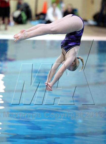 Thumbnail 3 in CHSAA 4A State Swimming Championships photogallery.