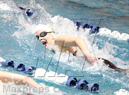 Thumbnail 1 in CHSAA 4A State Swimming Championships photogallery.