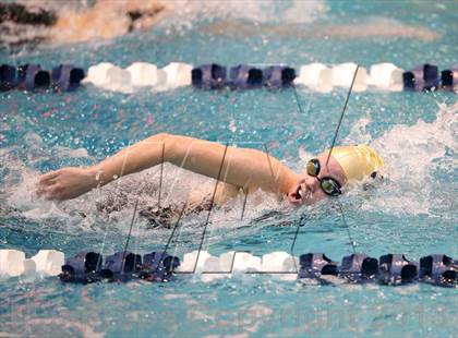 Thumbnail 1 in CHSAA 4A State Swimming Championships photogallery.