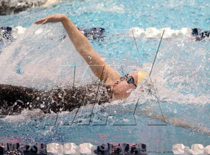 Thumbnail 1 in CHSAA 4A State Swimming Championships photogallery.