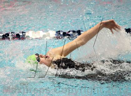 Thumbnail 3 in CHSAA 4A State Swimming Championships photogallery.