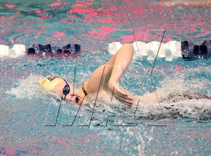 Thumbnail 2 in CHSAA 4A State Swimming Championships photogallery.