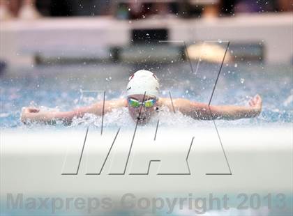 Thumbnail 2 in CHSAA 4A State Swimming Championships photogallery.