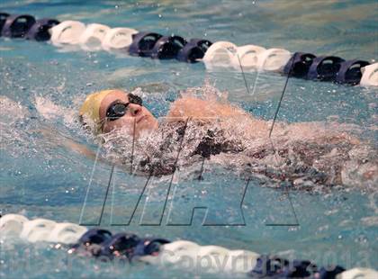 Thumbnail 3 in CHSAA 4A State Swimming Championships photogallery.