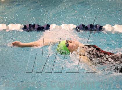 Thumbnail 2 in CHSAA 4A State Swimming Championships photogallery.