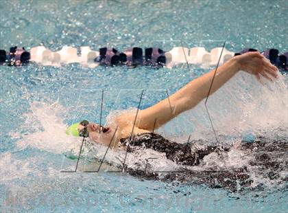 Thumbnail 2 in CHSAA 4A State Swimming Championships photogallery.