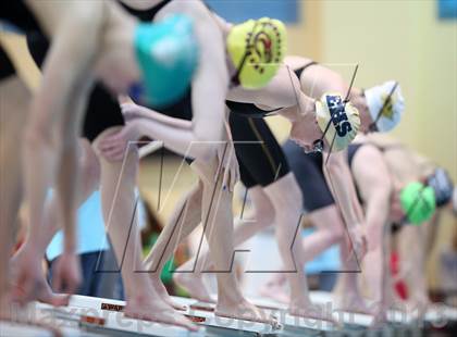 Thumbnail 3 in CHSAA 4A State Swimming Championships photogallery.