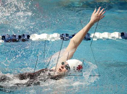 Thumbnail 3 in CHSAA 4A State Swimming Championships photogallery.