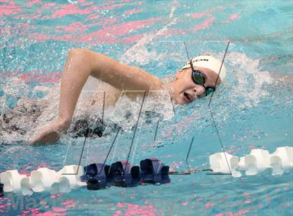 Thumbnail 1 in CHSAA 4A State Swimming Championships photogallery.