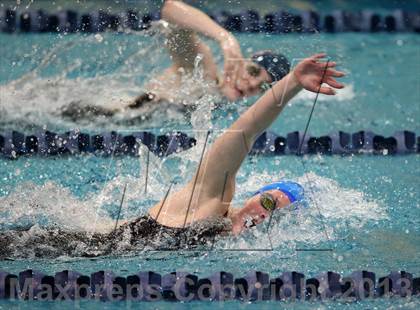 Thumbnail 2 in CHSAA 4A State Swimming Championships photogallery.