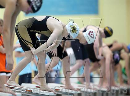 Thumbnail 1 in CHSAA 4A State Swimming Championships photogallery.