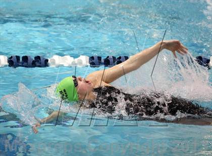 Thumbnail 2 in CHSAA 4A State Swimming Championships photogallery.