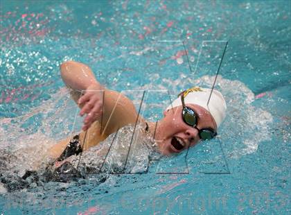 Thumbnail 1 in CHSAA 4A State Swimming Championships photogallery.