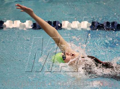 Thumbnail 1 in CHSAA 4A State Swimming Championships photogallery.