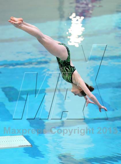 Thumbnail 1 in CHSAA 4A State Swimming Championships photogallery.