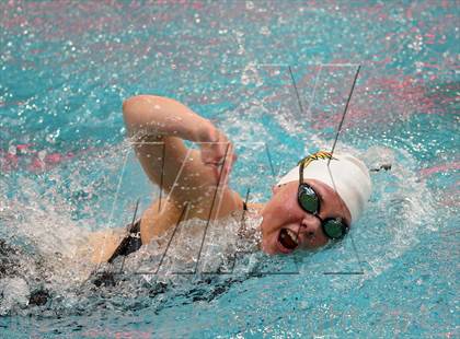 Thumbnail 2 in CHSAA 4A State Swimming Championships photogallery.