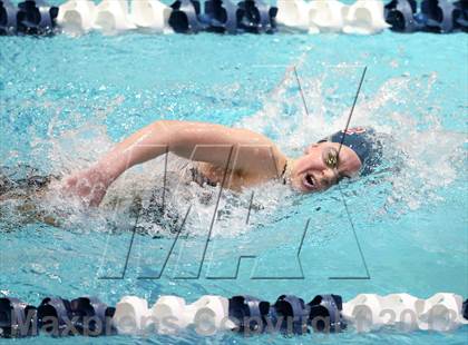 Thumbnail 1 in CHSAA 4A State Swimming Championships photogallery.