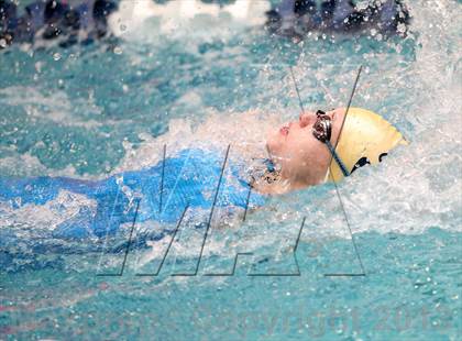Thumbnail 2 in CHSAA 4A State Swimming Championships photogallery.
