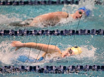 Thumbnail 1 in CHSAA 4A State Swimming Championships photogallery.