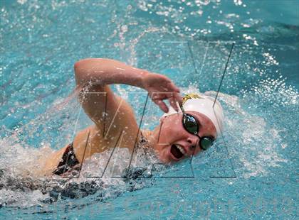 Thumbnail 2 in CHSAA 4A State Swimming Championships photogallery.