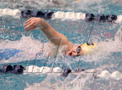Thumbnail 1 in CHSAA 4A State Swimming Championships photogallery.