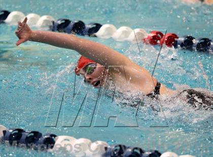Thumbnail 2 in CHSAA 4A State Swimming Championships photogallery.