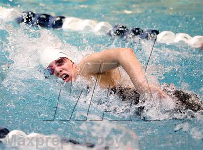 Thumbnail 1 in CHSAA 4A State Swimming Championships photogallery.