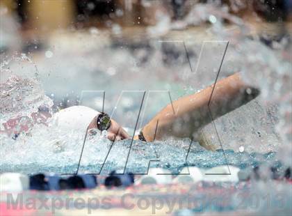 Thumbnail 2 in CHSAA 4A State Swimming Championships photogallery.